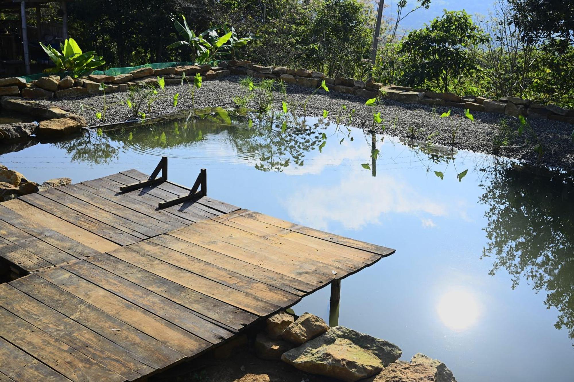 La Pacha Hostel Barichara Ngoại thất bức ảnh